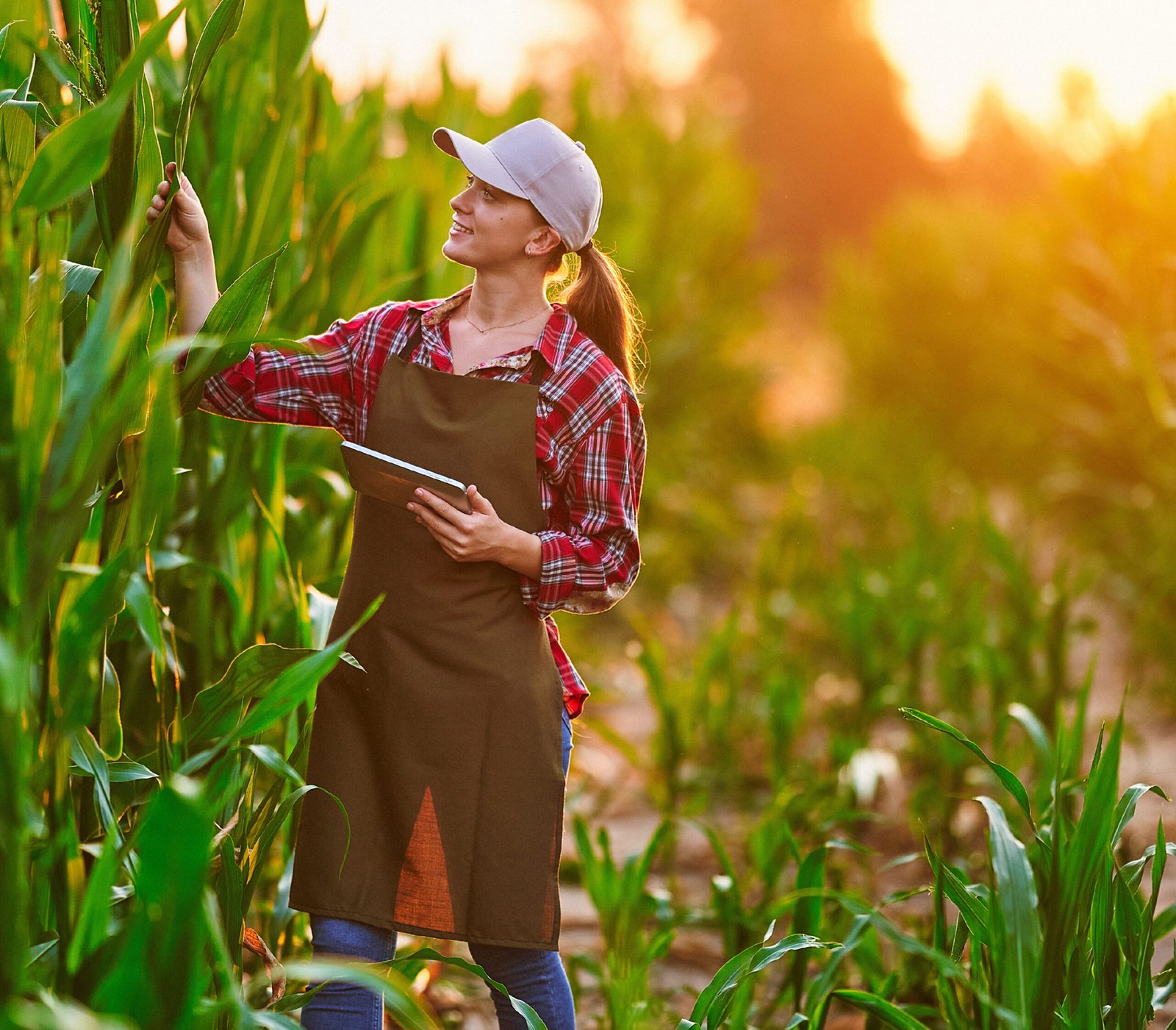 Farmer in field